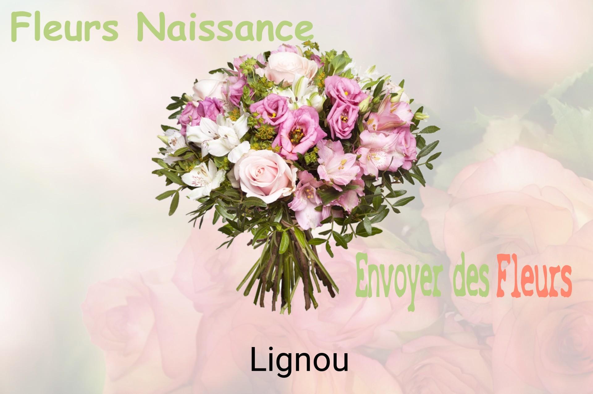 Bouquet de fleurs de naissance livré à Lignou